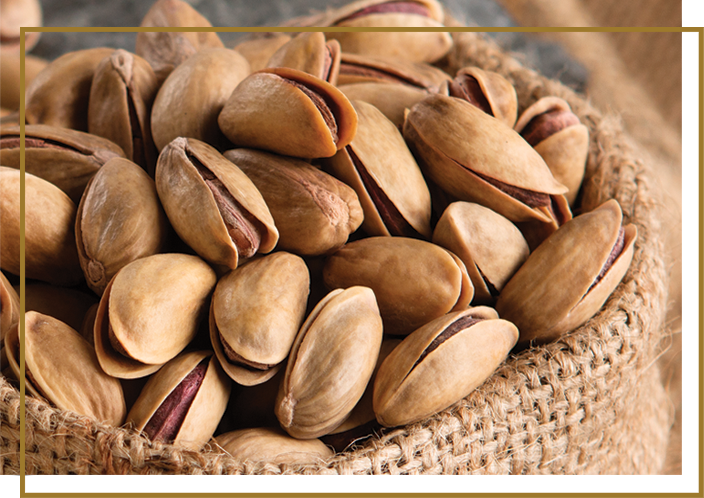 kavrulmus_kabuklu_antep_fistigi_01