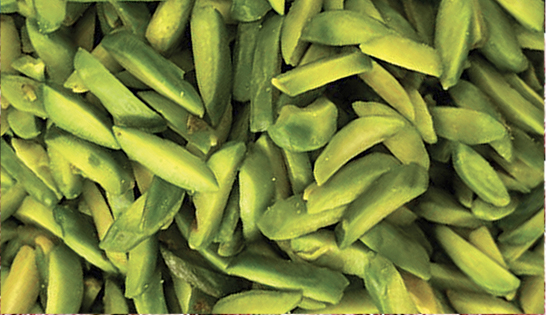 kurdan-antep-fistigi