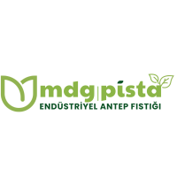 mdgpistargblogopng1080x1080