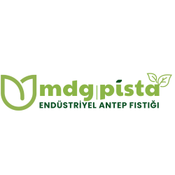 mdgpistargblogopng1080x1080